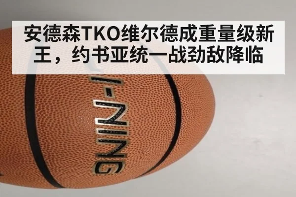 安德森TKO维尔德成重量级新王，约书亚统一战劲敌降临