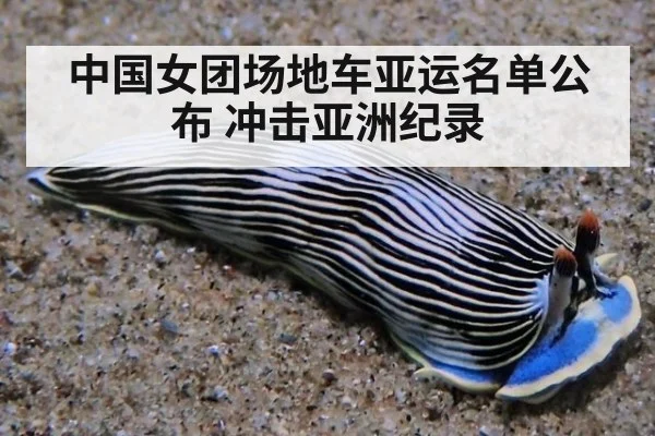 中国女团场地车亚运名单公布 冲击亚洲纪录